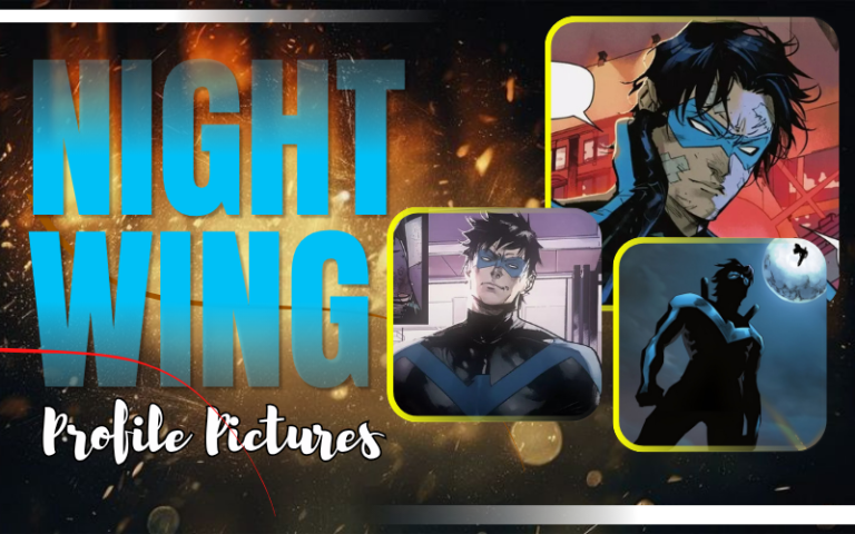 Nightwing PFP Ideas – Dark, Heroic & Aesthetic Profile Pictures Nightwing PFP