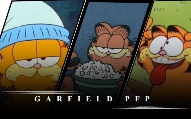 Garfield PFP: Best Ideas, Styles & Tips For The Perfect Profile Picture Garfield PFP: Best Ideas, Styles & Tips For The Perfect Profile Picture