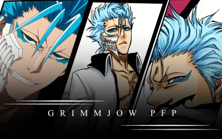 25+ Best Grimmjow Pfp Ideas (4K, Manga, TYBW & Cool Anime Icons) 25+ Best Grimmjow Pfp Ideas (4K, Manga, TYBW & Cool Anime Icons)