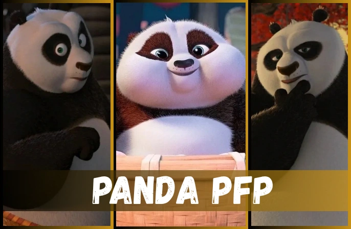 250+ Best Panda Pfp: Cute, Funny & Aesthetic Profile Picture Ideas 250+ Best Panda Pfp: Cute, Funny & Aesthetic Profile Picture Ideas