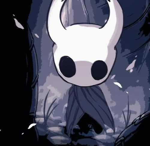 Hollow Knight Pfp