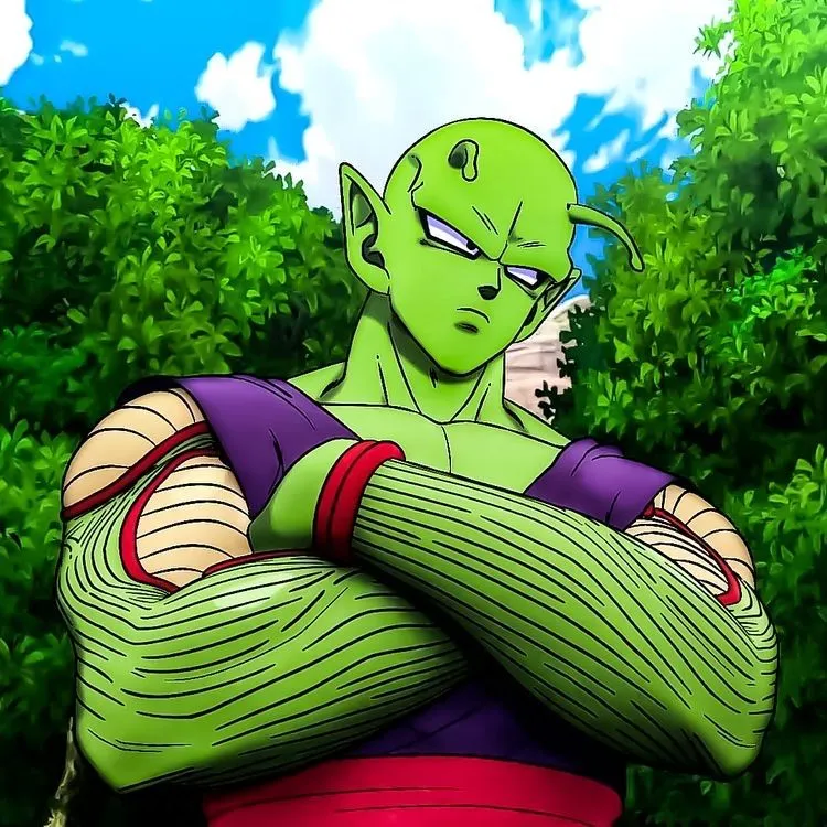 Piccolo Pfp