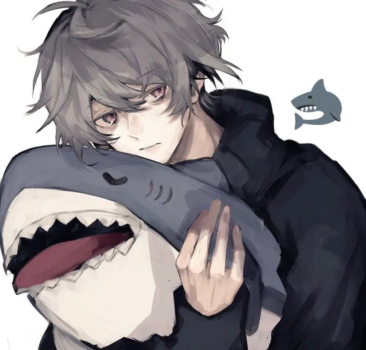 Shark Pfp