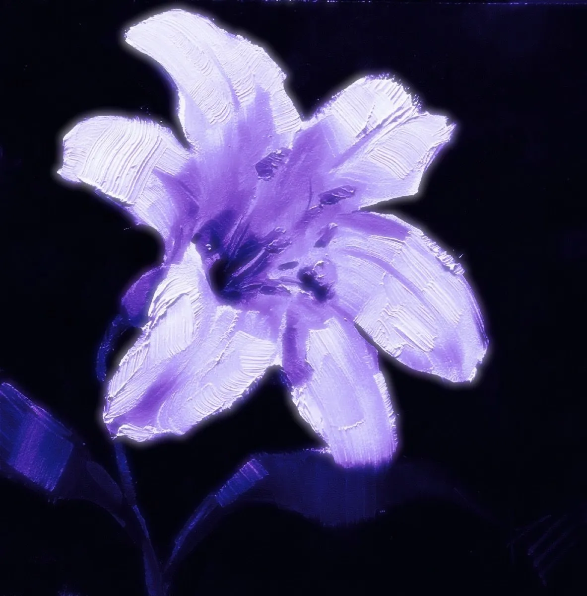 Purple Pfp